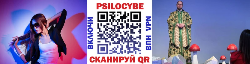 Купить  Менделеевск  Галлюциногенные грибы Cubensis 